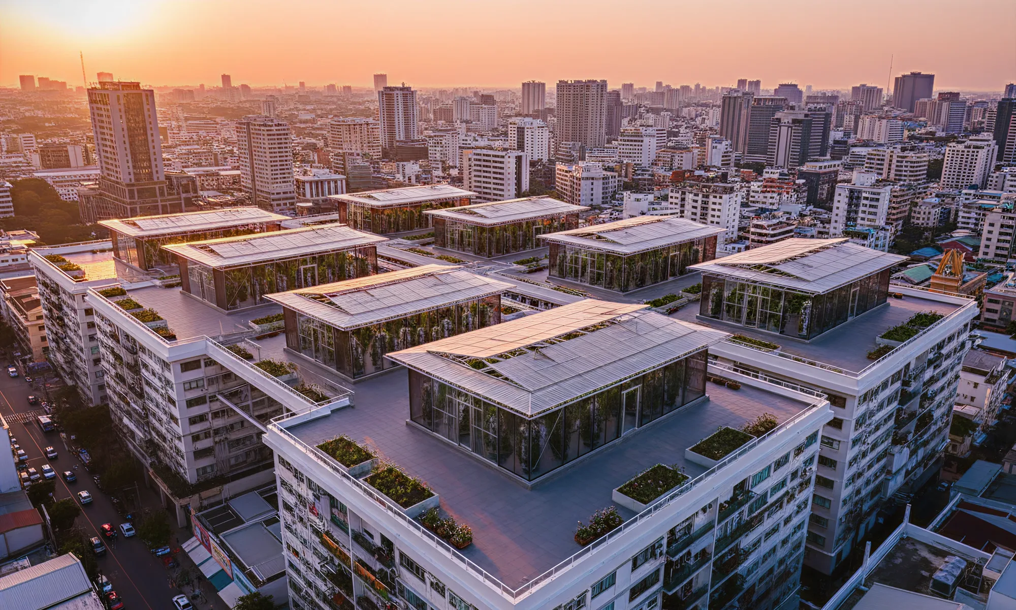 Urban farms integrated across rooftops in a modern city skyline