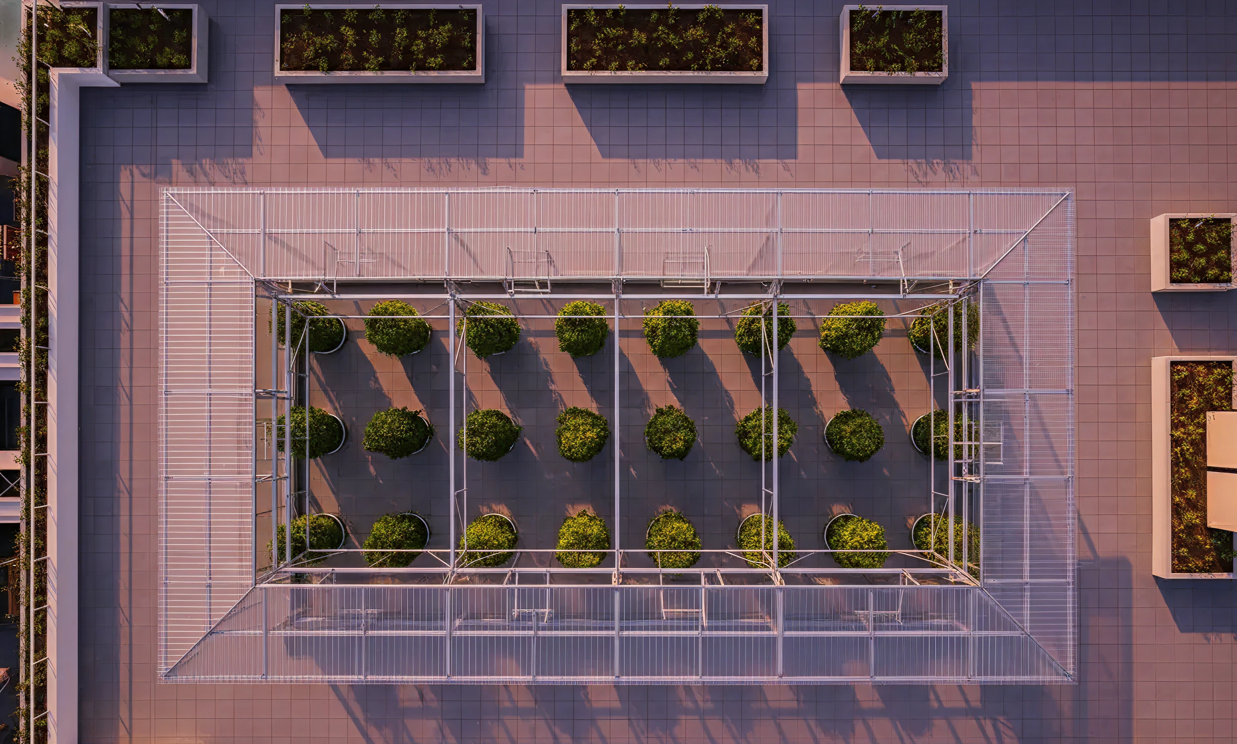 Aerial view of a rooftop hydroponic farm with organised growing rows