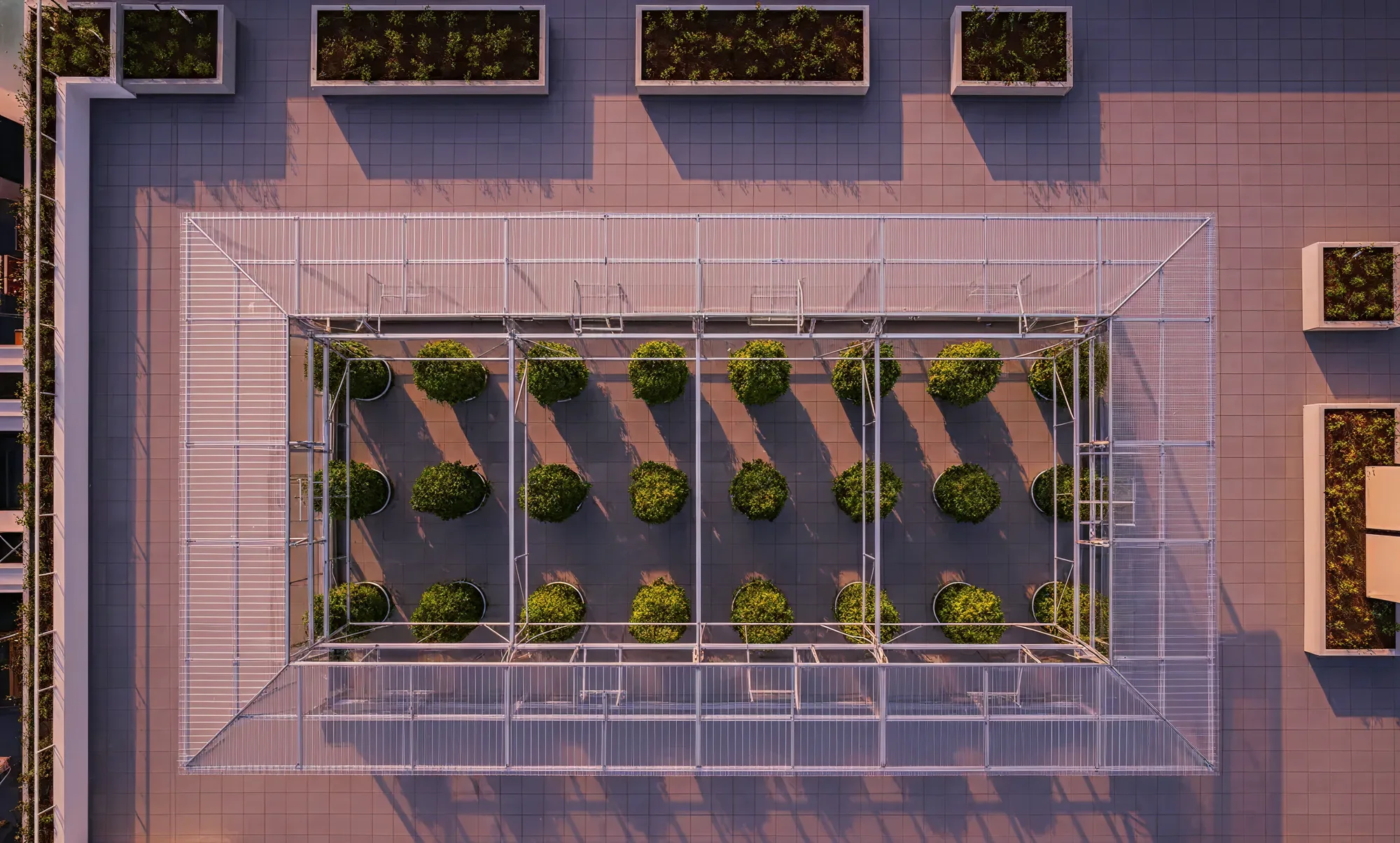 Aerial view of a rooftop hydroponic farm with organised growing rows